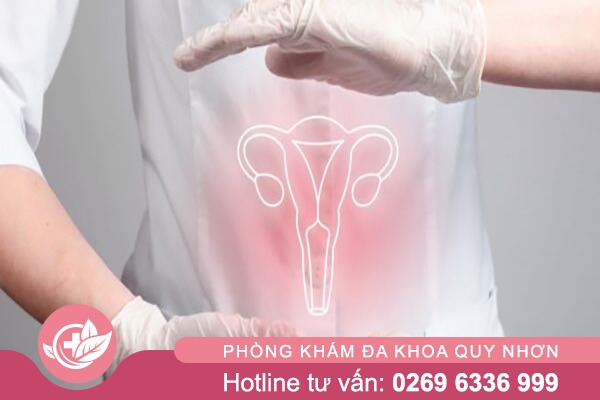 Viêm Vùng Kín Ở Nữ Giới: Dấu Hiệu Không Nên Bỏ Qua